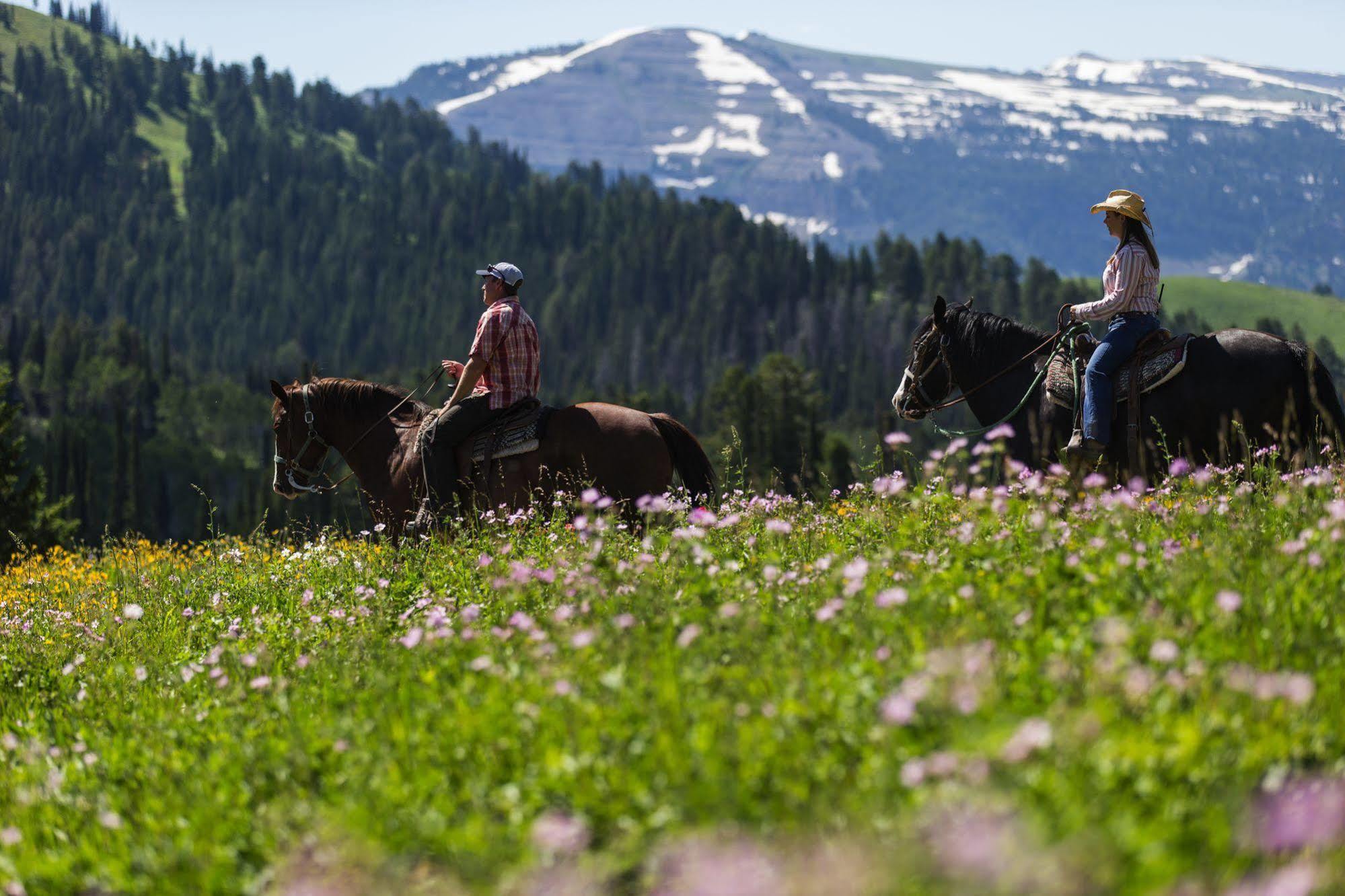 Sioux Lodge By Grand Targhee Resort Alta Екстериор снимка